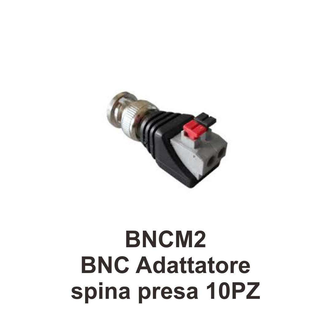 BNCM2