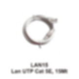 LAN15