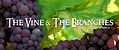 Vine-And-Branches.jpeg