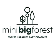 Logo Mini Big Forest