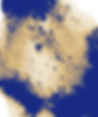 zoom-Fleur-01.jpg