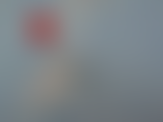 Removing citizenship rights from the Chagossians is unnecessary and illogical