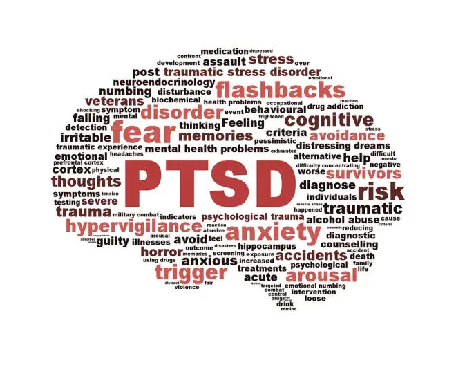 PTSD: It's a Diagnosis, Not a Sentence 