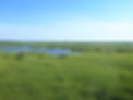 marsh.jpg