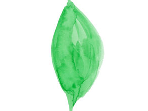 降る葉、舞う葉