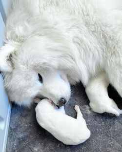 B933262B-8E63-41B7-8F33-2DE98A6ED958