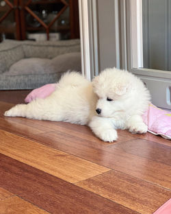 AAC158B2-074B-4488-A6EF-9A66B15F9849