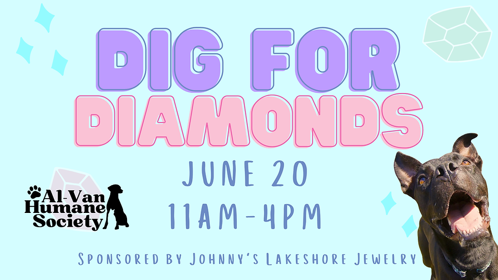 Dig for Diamonds