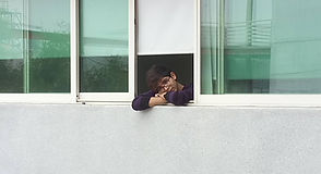 22426228_1135002313296408_3028521677592721628_o