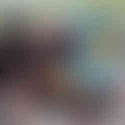 Ham & Yam - Sister Hazel Local70