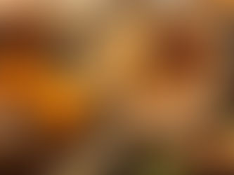 We want to know - What’s Your Favorite Thanksgiving Dessert?