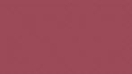 Local70_Primary Pattern-02.jpg