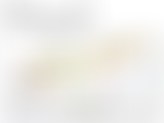 沃斯堡Fort Worth和普莱诺Plano之间轻轨开工