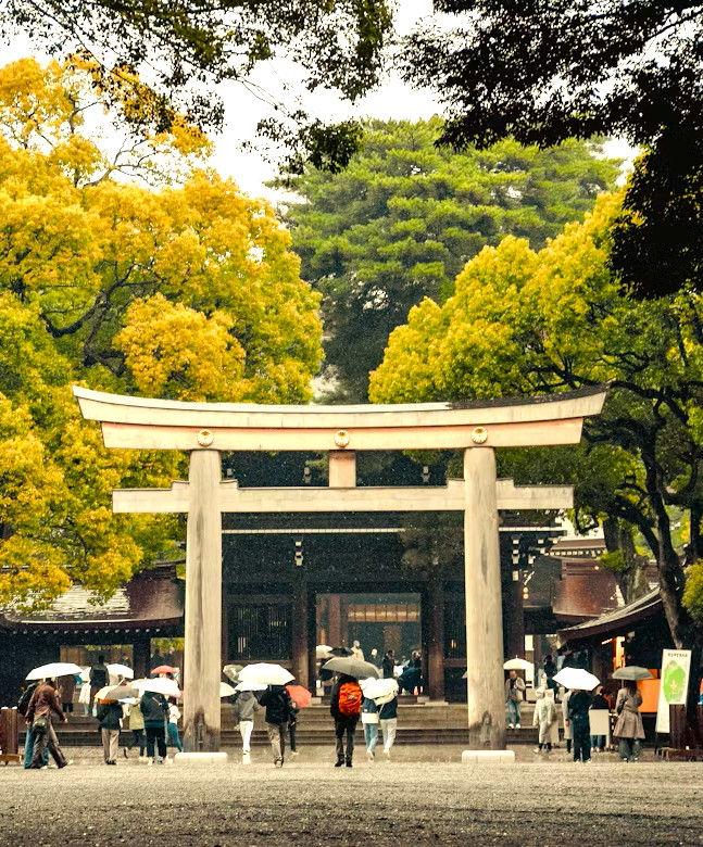 Meiji shrine.jpg