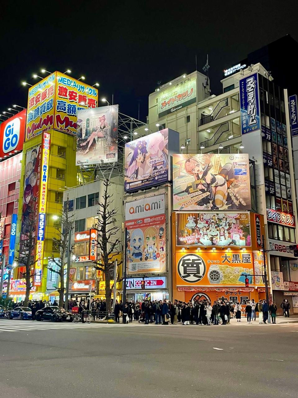 Akihabara.jpeg