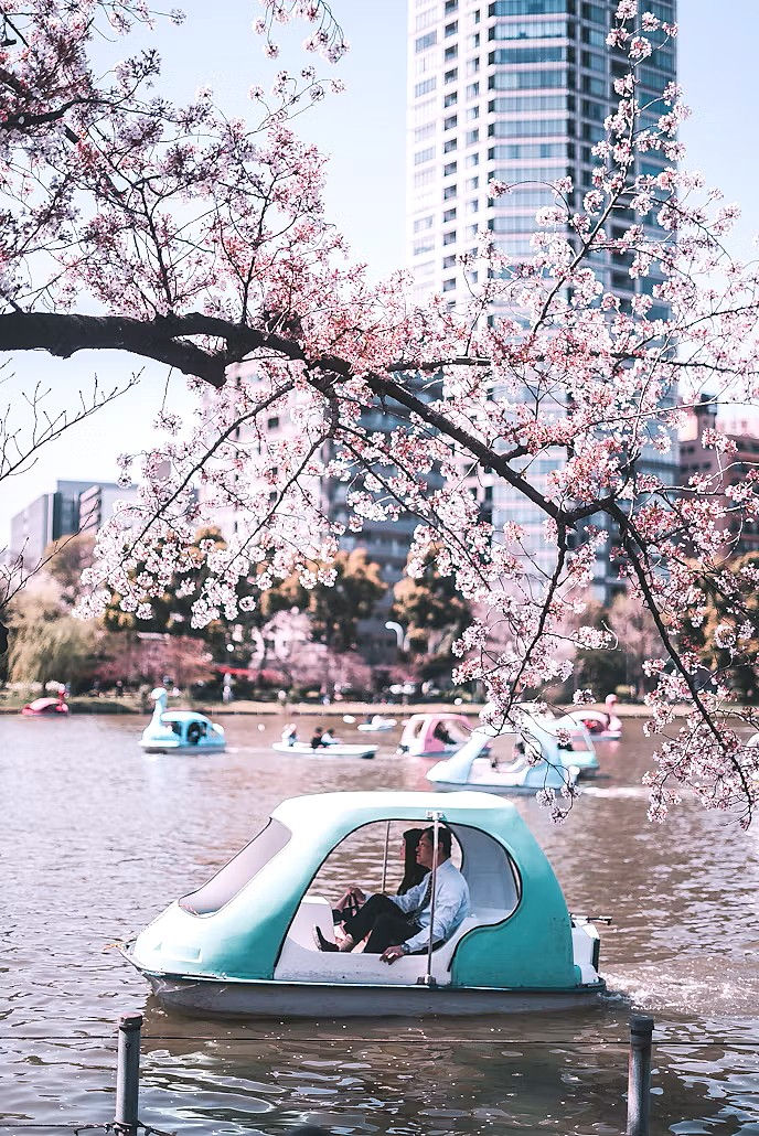 Ueno park.jpg