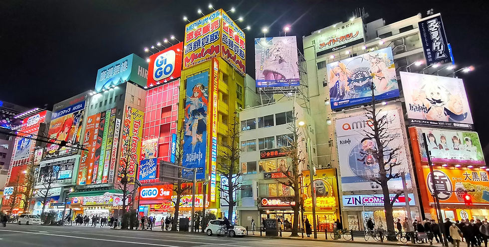 akihabara3_edited.jpg
