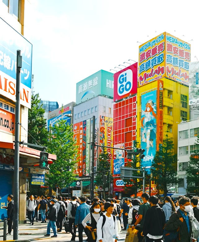 Akihabara3.jpg