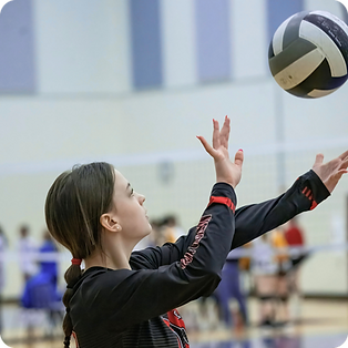 volleyball.png
