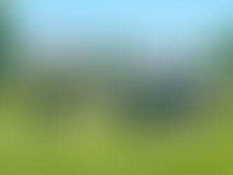 Brian Dental Care Team BBQ Party!