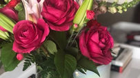 Flowers and Felines