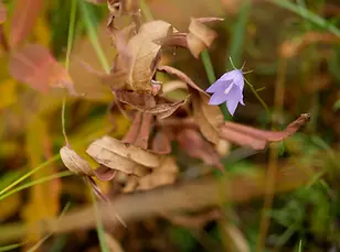 P1770823-Finale - Format Web 1400 - sans watermark.webp