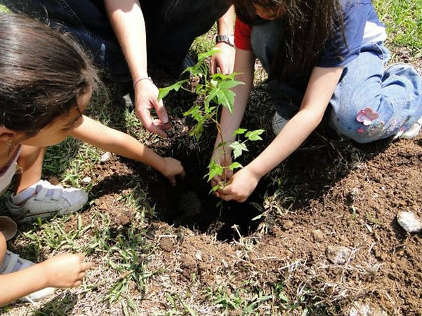 PLANTANDO 01.jpg