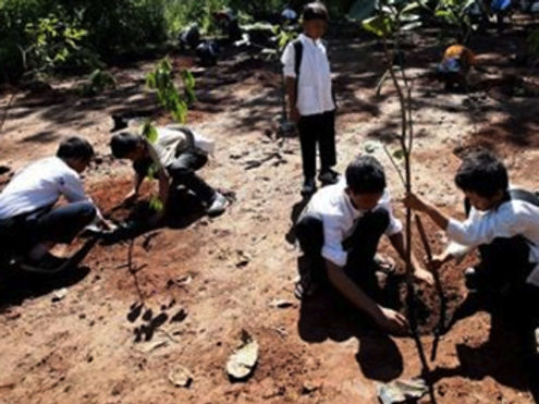 PLANTANDO 02.jpg