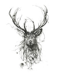 STAG 3-small.jpg