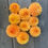 Thumbnail: Dahlia Cornel Bronze