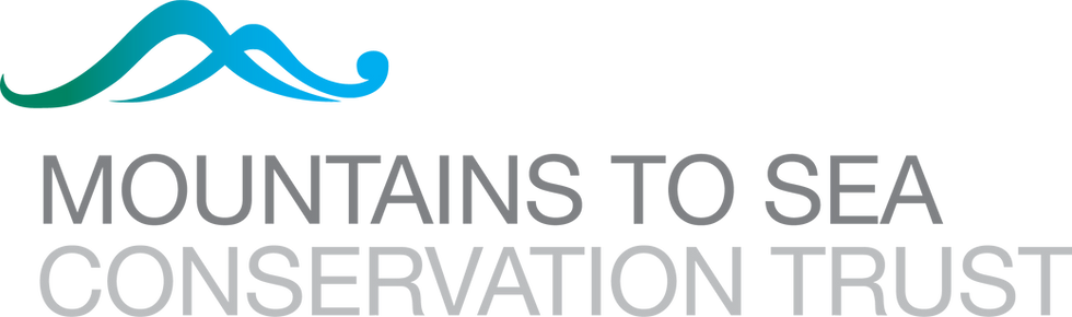 MTS main logo_transparent back.png