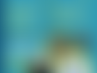 Mountains to Sea Conservation Trust - Auckland and Northland events for Summer 2025/26