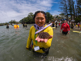 Volunteer Marine Internship - Summer 25/26