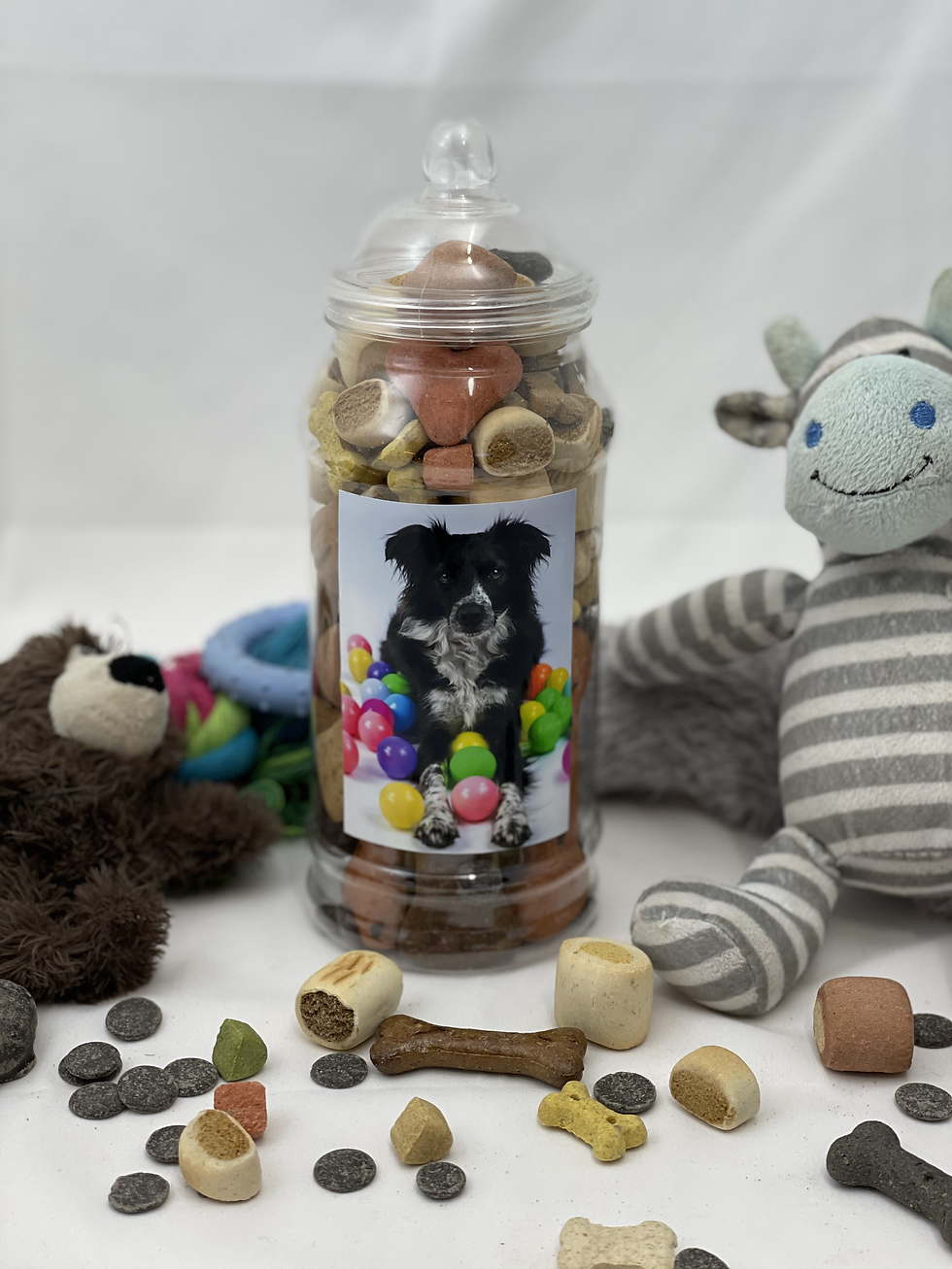 Thumbnail: Photo Treat Jar | Treats Included