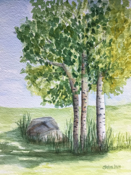 Morning Aspens