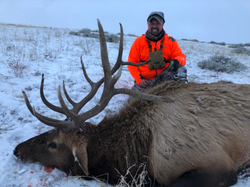 0243F300-4964-494E-A331-55115C405F18