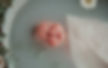 503499632_1269990758465720_5487633768035105111_n_edited.jpg