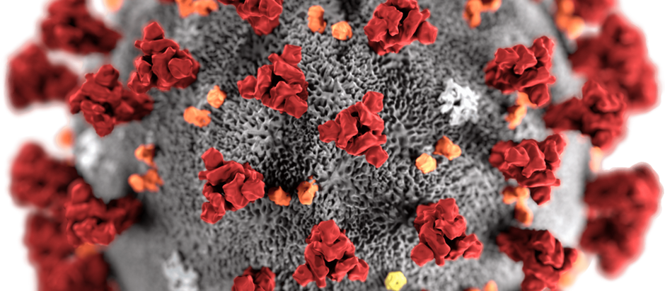 COVID-19 Coronavirus Information