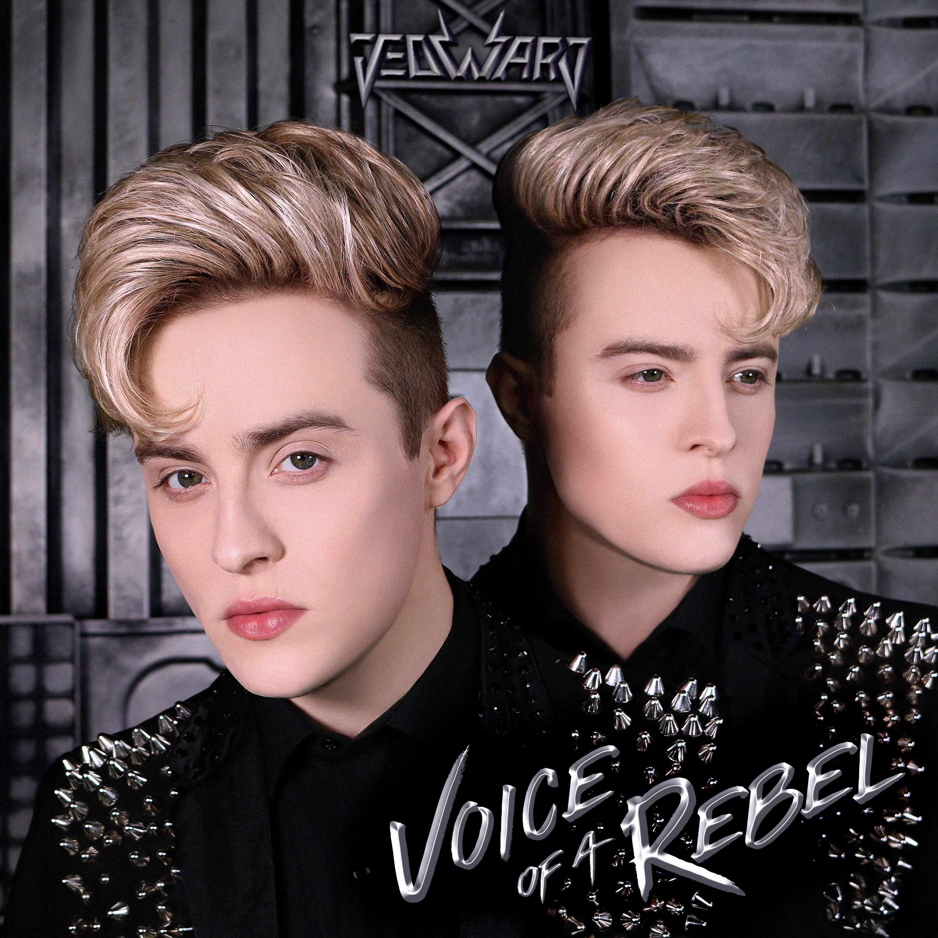 Signed Voice of a Rebel CD