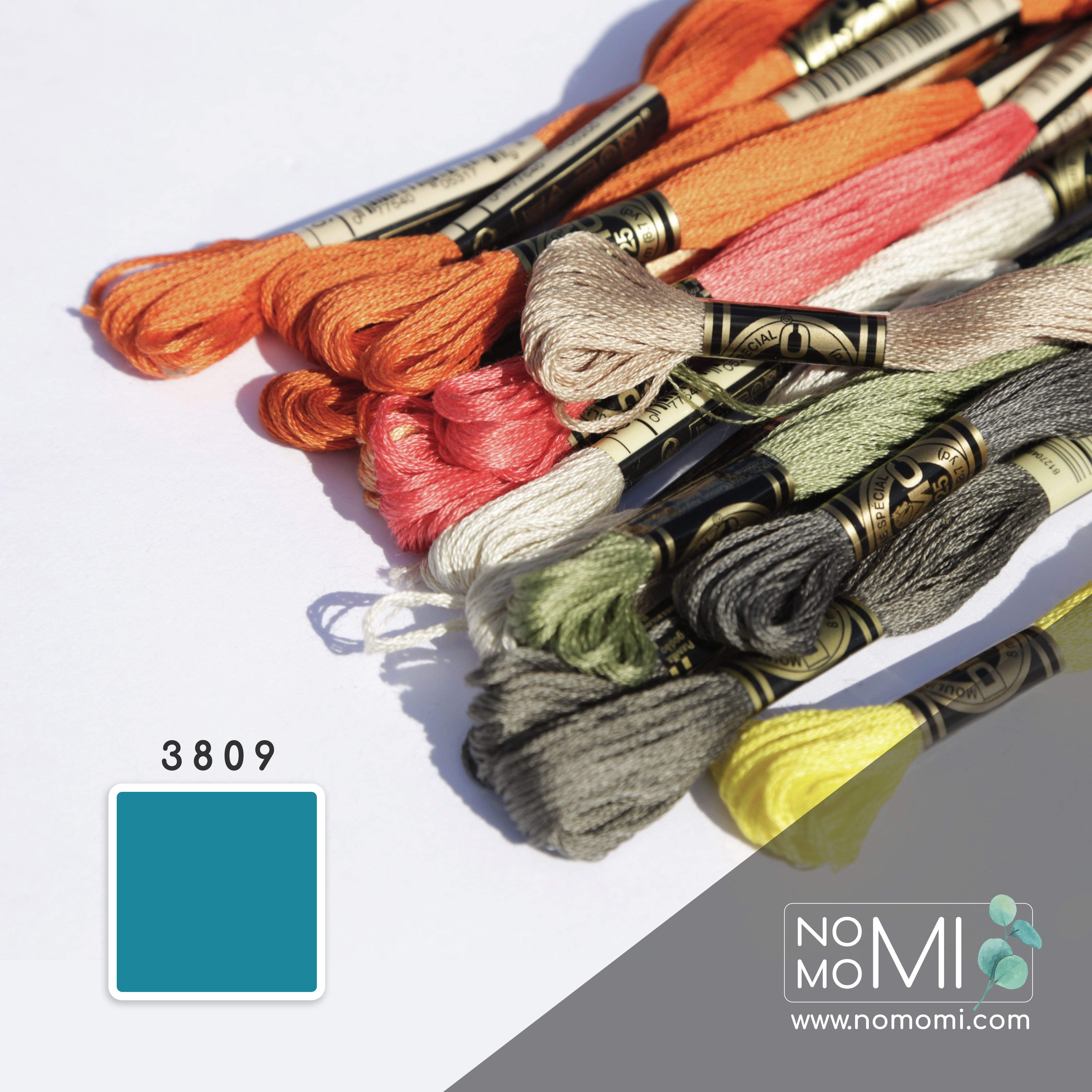 3809 Муліне DMC Фабричний моток