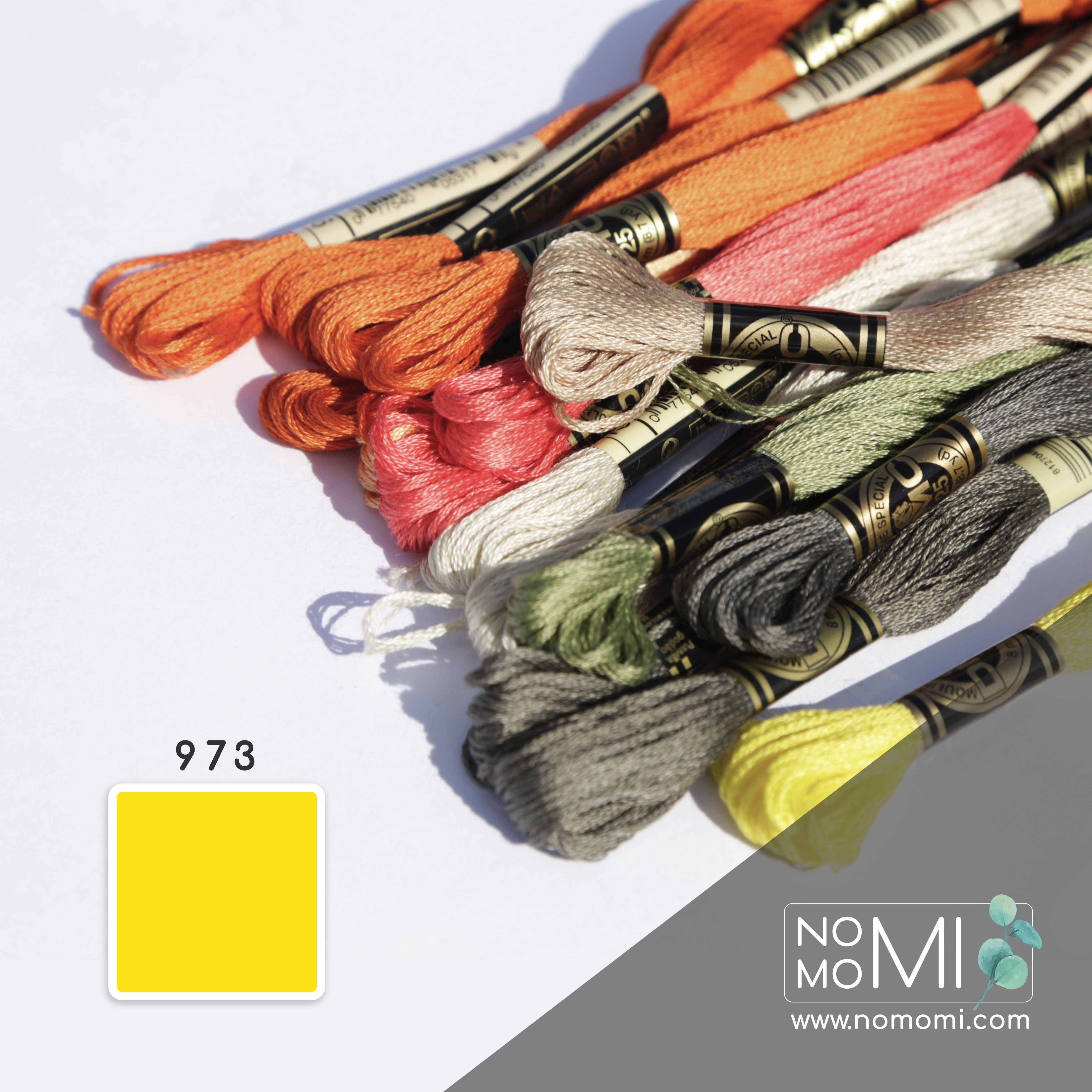 973 Муліне DMC Фабричний моток