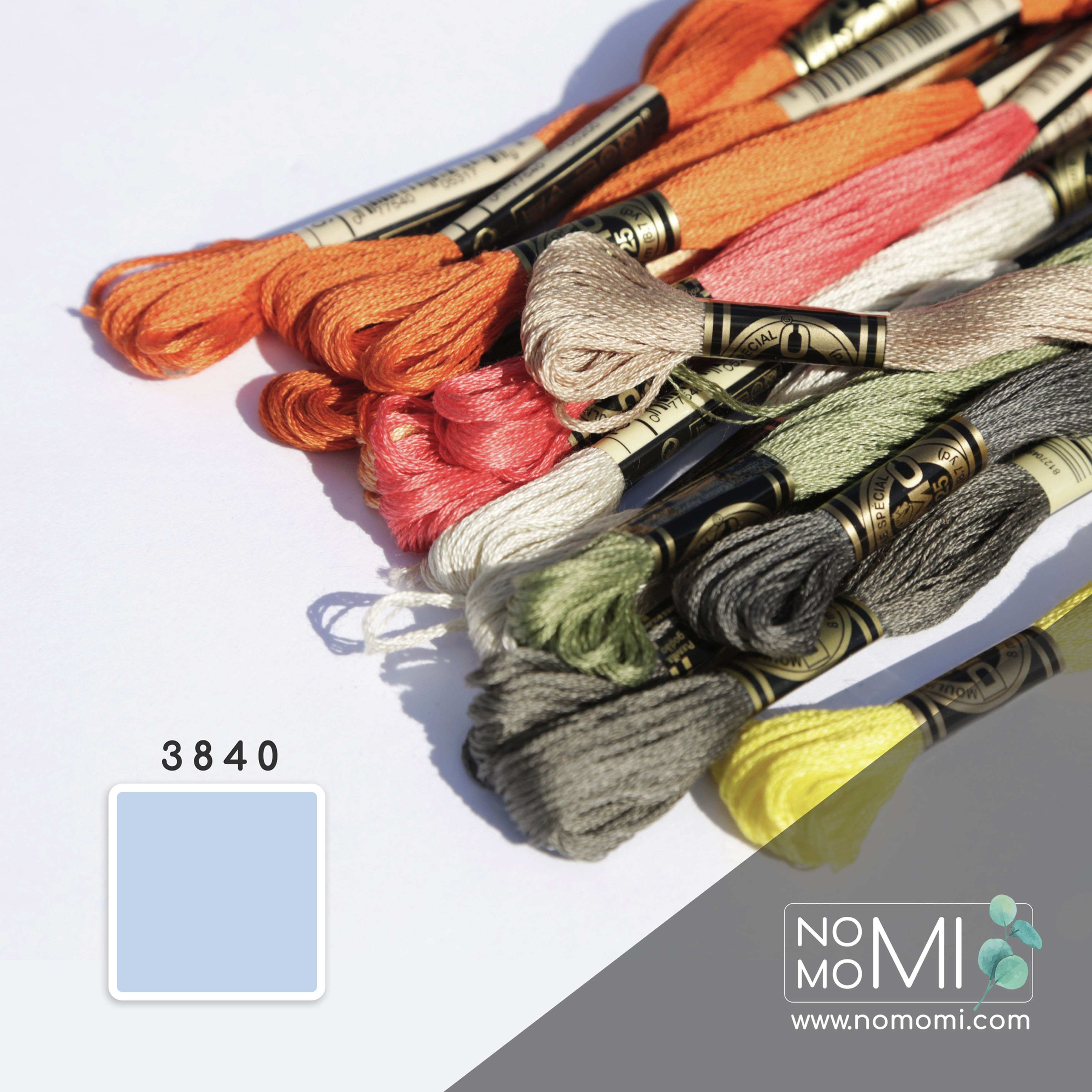 3840 Муліне DMC Фабричний моток