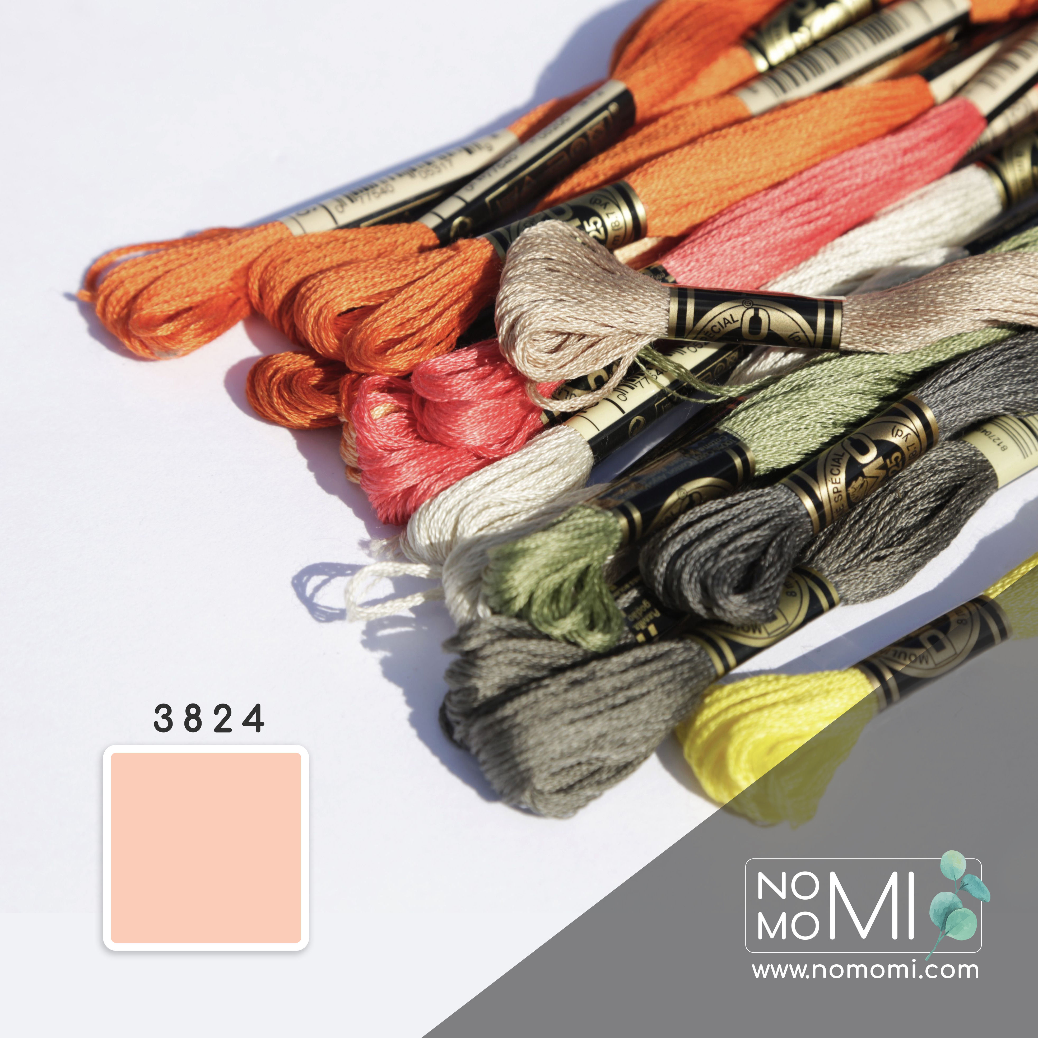 3824 Муліне DMC Фабричний моток