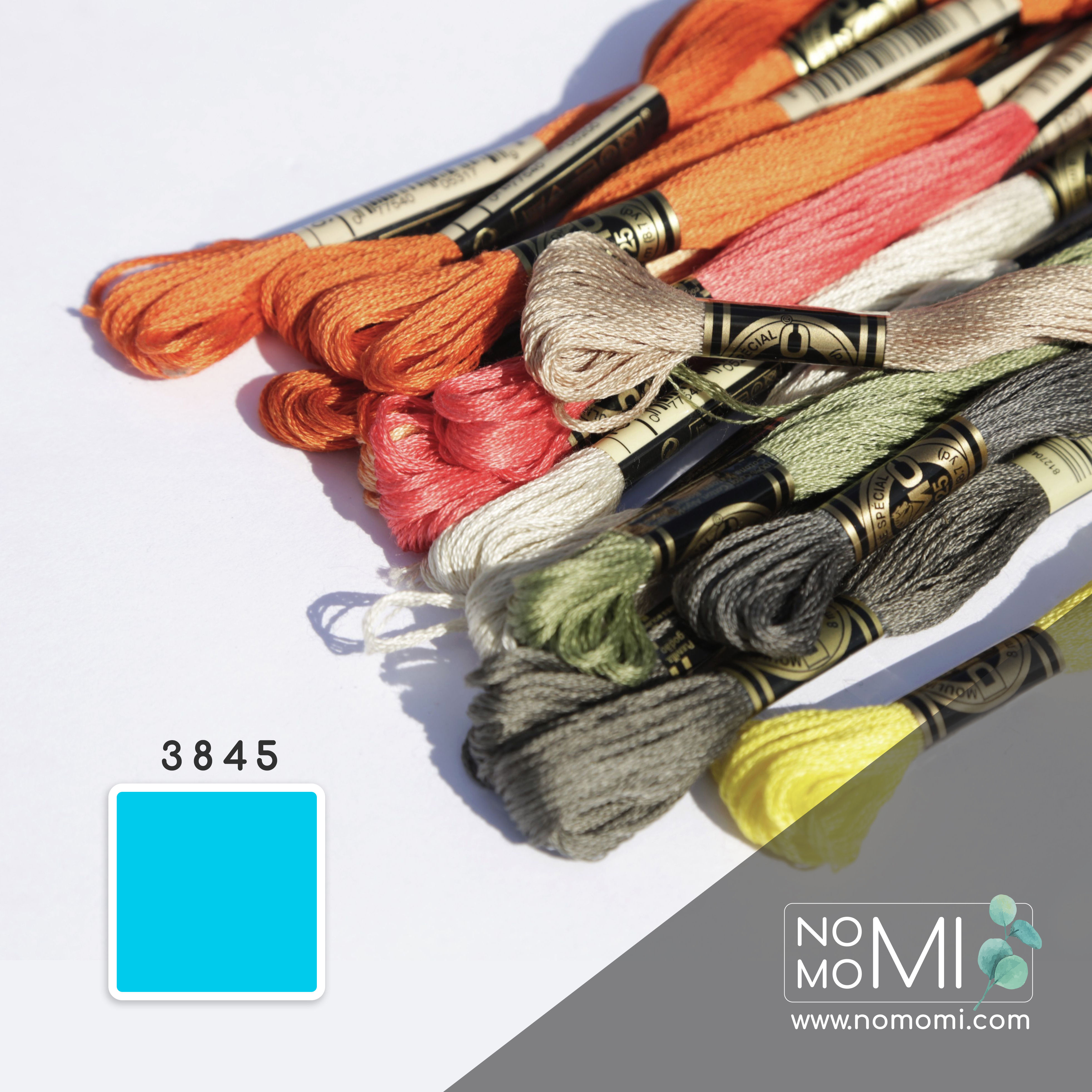 3845 Муліне DMC Фабричний моток