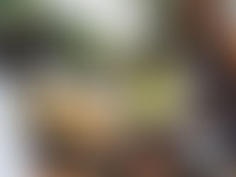 Thanksgiving Dinner in Santa Barbara