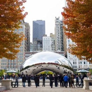 Millenium Park and the Bean