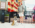 Dog friendly Henry Dorrbaker's - Beloit, WI
