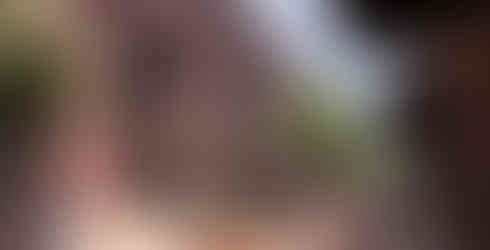 Traction Yards conceptual rendering