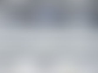 Air Transport: The Airline Crisis