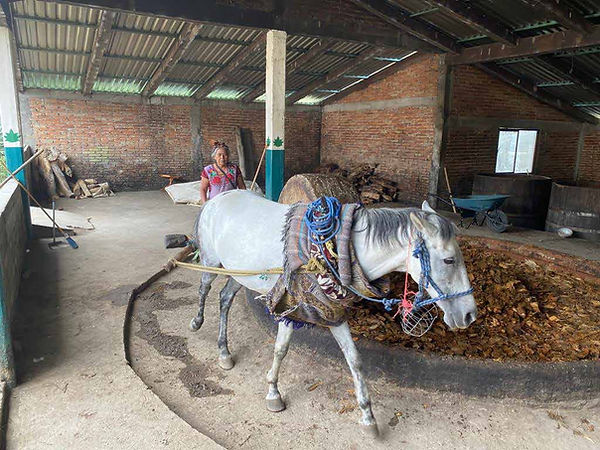 Milling Tahona White Horse Berta